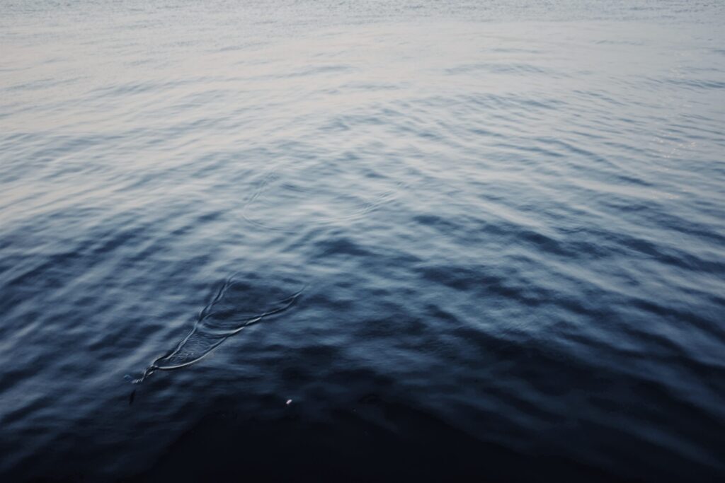 9CC61790-9A38-4998-AF1F-67E44EE6EBD32017-05-05_11-43-27_000-1024x683 FUJIFILM X100Ⅵ 買った話