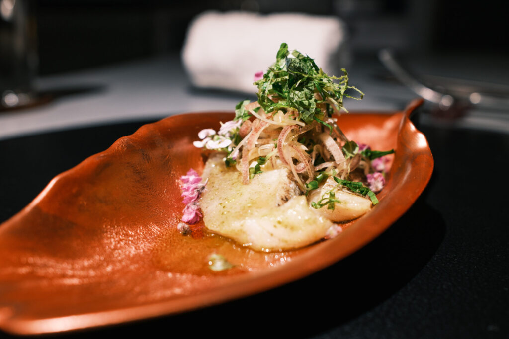 DSCF0240-1024x683 FUJIFILM X100Ⅵ 買った話